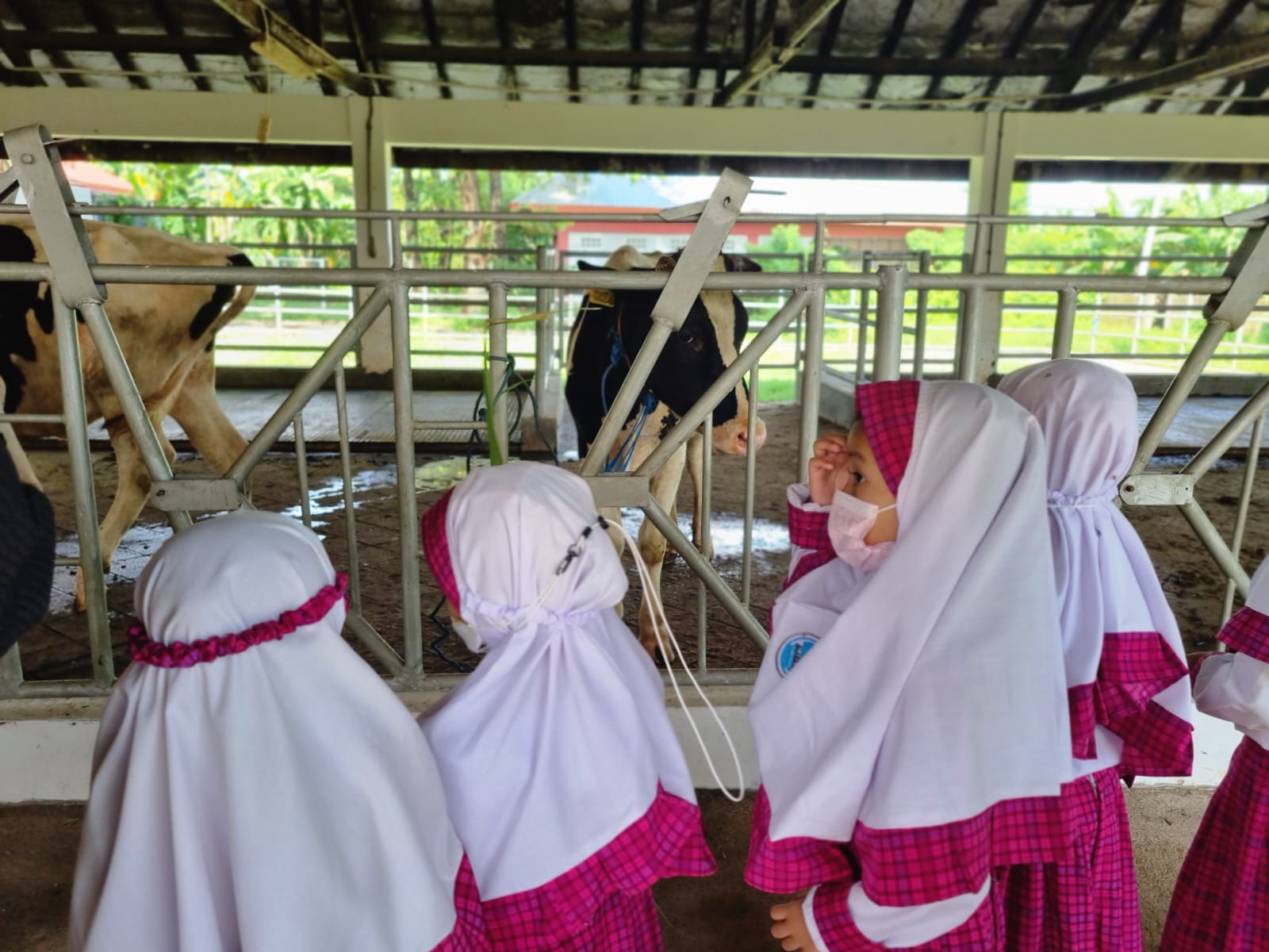 Kunjungan Edukasi TK Islam Al Akhyar ke Kandang Ternak Fakultas Peternakan UNHAS